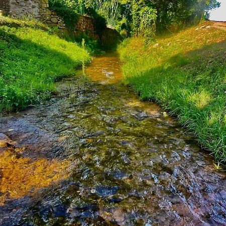 Moulin Gaillard Et Table D'hotes Guest house