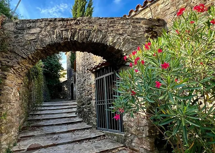 Moulin Gaillard Et Table D'hotes Bédarieux